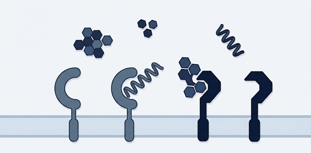 receptores tipo toll tlr reconocimiento de patogenos pamps sistema inmune innato